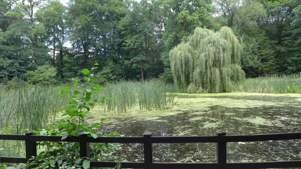 Ferienhaus Natura นอยรุพพิน ห้อง รูปภาพ