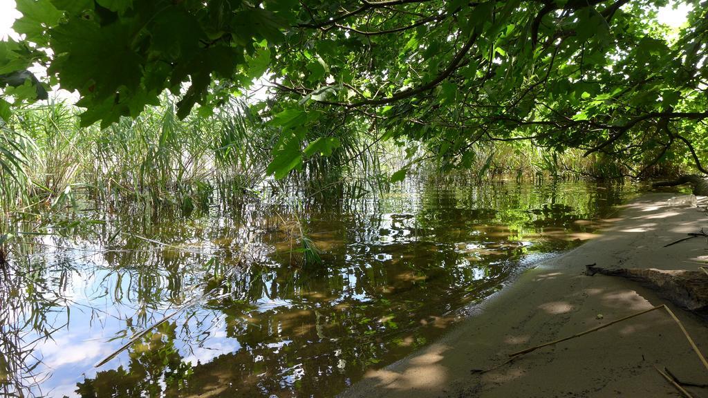 Ferienhaus Natura นอยรุพพิน ห้อง รูปภาพ