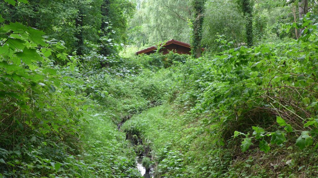 Ferienhaus Natura นอยรุพพิน ห้อง รูปภาพ